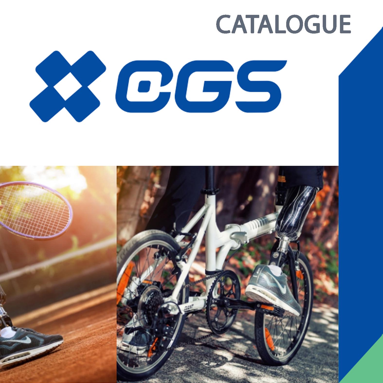 Catalogue